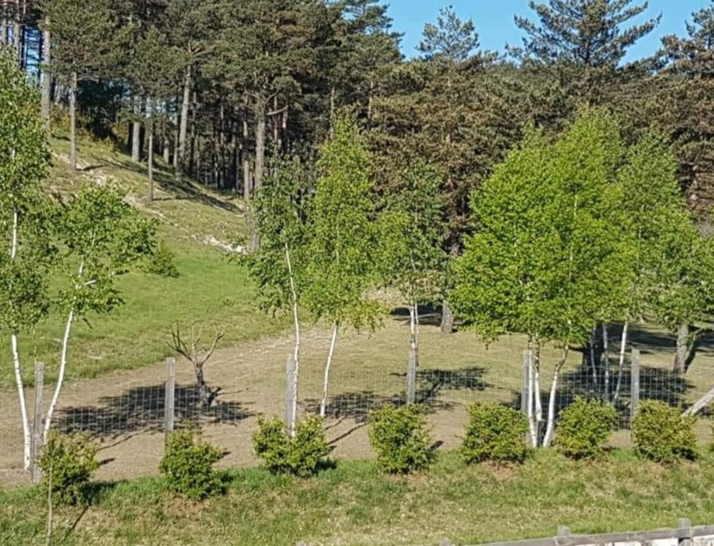 Domaine De L'Auspeliere Otel Greolieres Dış mekan fotoğraf